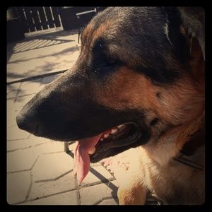 Meet your Posher, Jenny